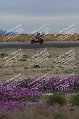 media/Jan-14-2023-SoCal Trackdays (Sat) [[497694156f]]/Turn 14 Exit Bloomig (145pm)/